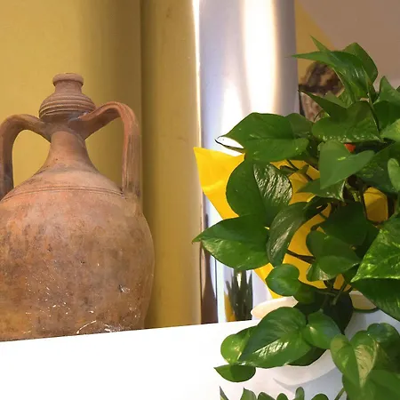 Culummi 3* Cavallino di Lecce